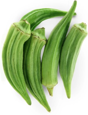 DHENU PRASAD 1975 Hybrid f1 Green Indo Agri Radhika Okra, Bhindi, Lady Finger Seed(1975 per packet)