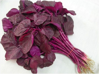 URRO Red Amaranth Chaulai Saag Seed(1000 per packet)