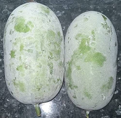 BDSresolve Ash gourd seeds for farming PACK OF 57 Seed(57 per packet)