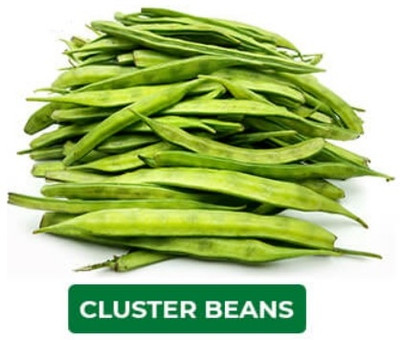 WATIKA cluster beans Seed(500 per packet)