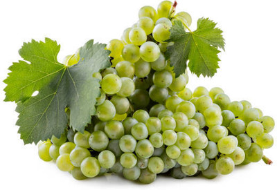 PASCLE GRAPE SEEDS Seed(50 per packet)