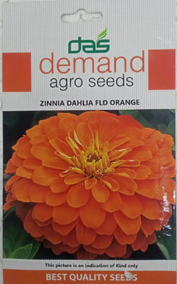 KRASHAK Zinnia Dahlia Seed(2 per packet)