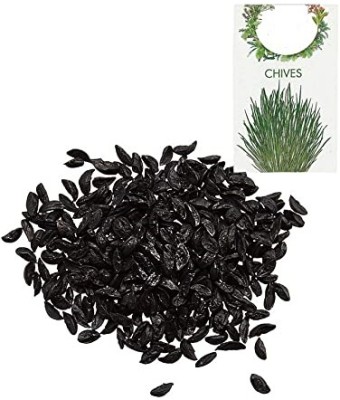 KNESSiN Chives Seed(200 per packet)