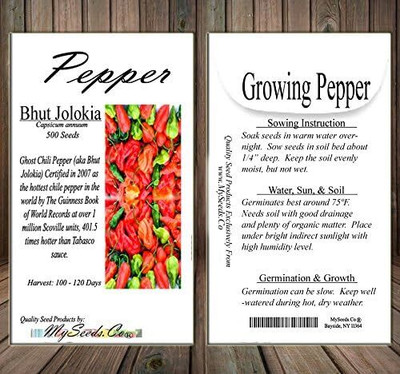 Qualtivate RES-1A Bhut Jolokia Ghost Pepper Chilli Seed(300 per packet)