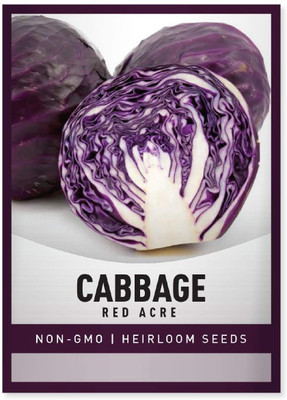 Biosnyg Cabbage Red Acre[500 Seeds] Seed(500 per packet)