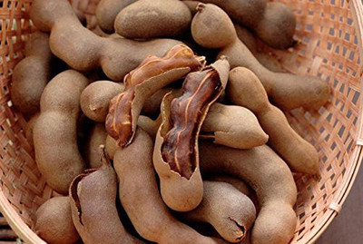 KANAYA Tamarind Seed(2 per packet)