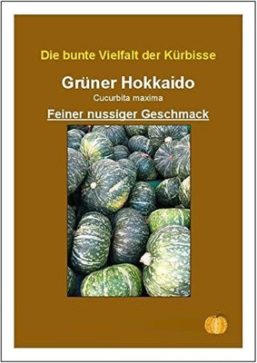 CYBEXIS Hokkaido Squash (Cucurbita Maxima) - Seeds - Pumpkins400 Seeds Seed(400 per packet)