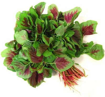 Quentova Red Amaranth Vegetable-UK-6Z Seed(300 per packet)