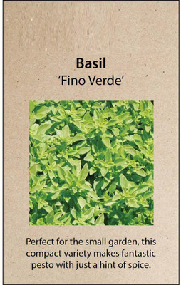 VibeX ® VXI-25 Fino Verde Little-Leafed Basil Seed(1000 per packet)