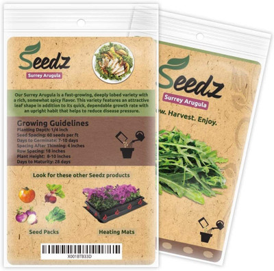 CYBEXIS NBIR-93 - Surrey Arugula - (750 Seeds) Seed(750 per packet)