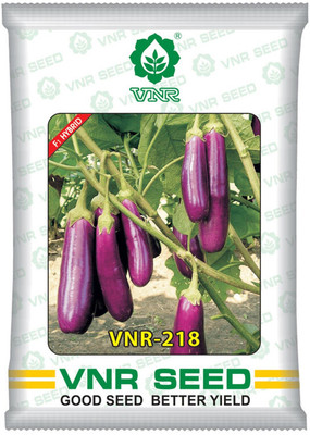 VNR vnr 218 F1 Hybrid Brinjal Seed(55 per packet)