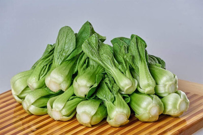 WILLVINE PUSA -XVI Pak Choi Seeds/Chinese Cabbage [2.5g] Seed(750 per packet)