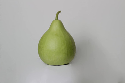 KANAYA LAW/LOWKI Round Bottle Gourd Lauki/Lau/Clabash Seed(120 per packet)