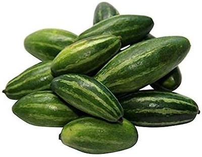 BDSresolve Pointed gourd seeds, pointed gourd vegetable seeds, parwal seeds Seed(24 per packet)