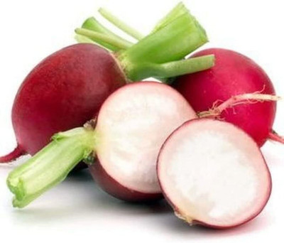 Qualtivate PUAS-1A Round Radish Seeds Seed(300 per packet)