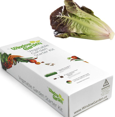 Qualtivate PUA-1A Lettuce Vegetable Starter Kit Seed(300 per packet)