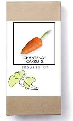 Biosnyg Chantenay Carrot[500 Seeds] Seed(500 per packet)