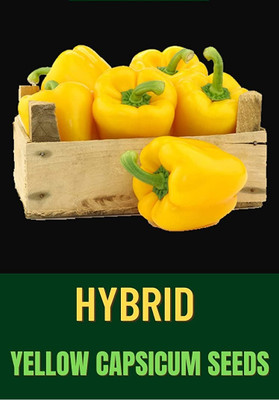 Qualtivate PUA-1A F1 Capsicum Yellow Hybrid Seeds Seed(100 per packet)