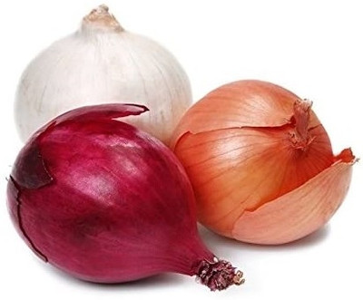 KNESSiN Mixed Onion seeds - Allium cepa Seed(300 per packet)