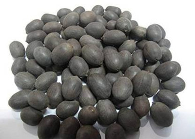 UNIQTRADERS Kamal Gatta - Natural Raw Lotus Seed - for Laxmi Havan & Pujan - 108 Seeds Seed(100 per packet)