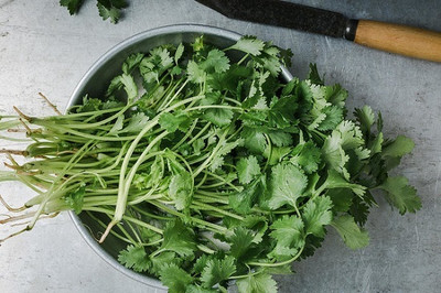 ZIXA Organic Cilantro/Coriander Seed(2000 per packet)