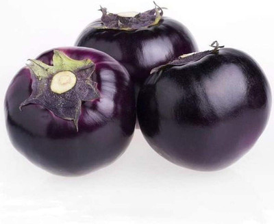 KNESSiN Brinjal Deep Purple Seed(200 per packet)