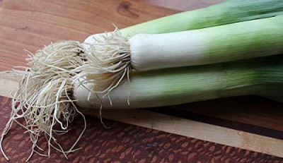 KANAYA Leek Seeds For Home Garden Seed(50 per packet)