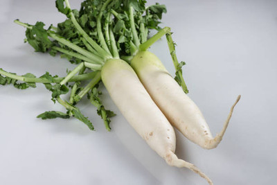 Kodali Hybrid F1 Radish Seeds Pack Of 32 Seed(32 per packet)