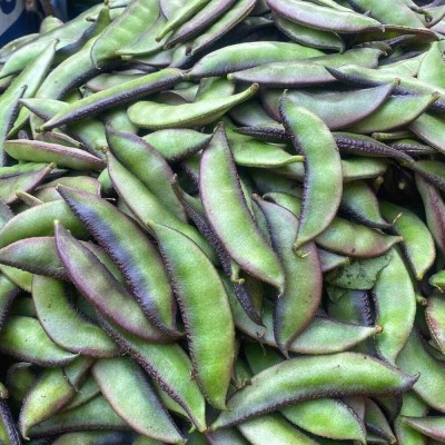 Aywal SEM PHALI DOLICHOS BEANS F1 HYBRID Vegetable Seed(42 per packet)