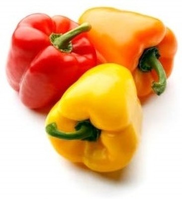 Qualtivate XXX-6A Premium Hybrid Red, Yellow & Green Capsicum Seed(100 per packet)