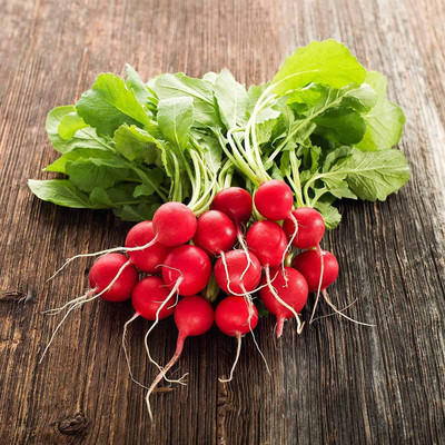 WILLVINE LX-526 Cherry Belle Radish Seeds Seed(500 per packet)