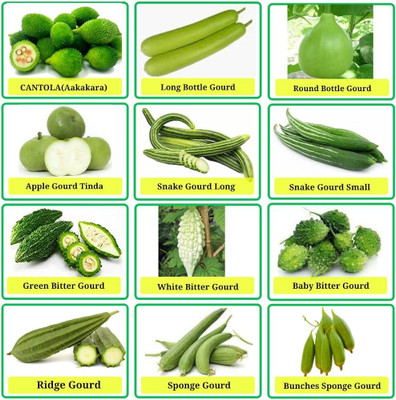 ibains Quick home garden combo vegetable seeds Seed(340 per packet)