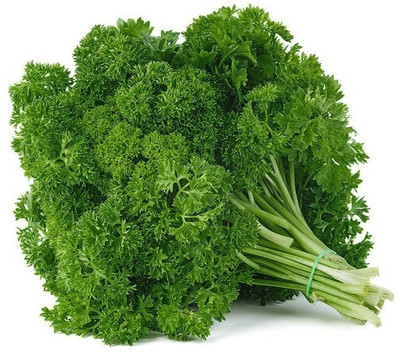 SOWCAN Moss Curled Parsley Seed(100 per packet)
