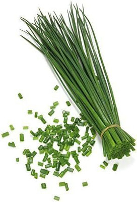 Qualtivate RES-4A Chives Herb Seeds Seed(300 per packet)