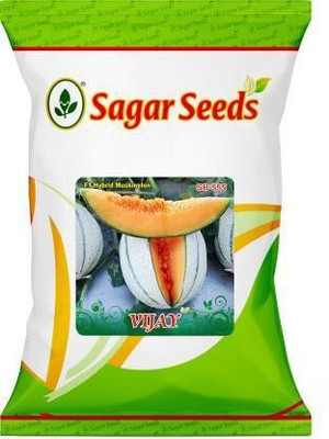 Khushi Prova VIJAY MUSKMELON Seed (1100 per packet) Seed(105 per packet)