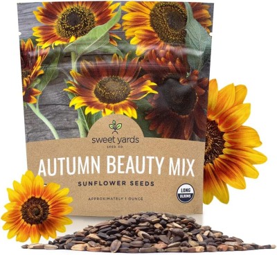 Qualtivate GBPT-1A Autumn Beauty Sunflower Seeds Seed(200 per packet)