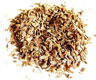 ActrovaX Soyo Seed Dill Sadapa Vittulu Satakuppi Saluka [16000 Seeds] Seed(16000 per packet)