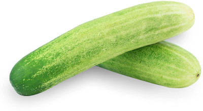 ARTA Desi Cucumber Seed(20 per packet)