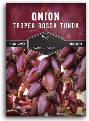 Biosnyg Tropea Rossa Tonda Onion Seeds-2500 Seeds/10gm Seed(2500 per packet)