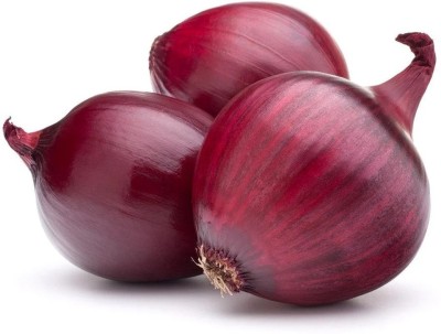 Quentova Dark Red Onion-IACR-3N Seed(250 per packet)