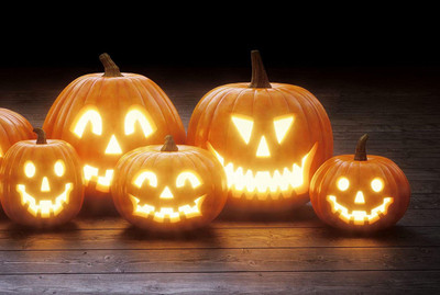 WILLVINE VVI-521 Jack O' Lantern Pumpkin Seeds Seed(50 per packet)