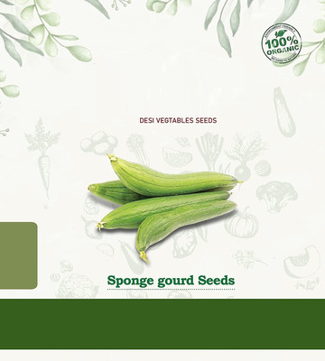 Qualtivate HUA-8A Organic F1 Hybrid Sponge Gourd Seeds Seed(50 per packet)