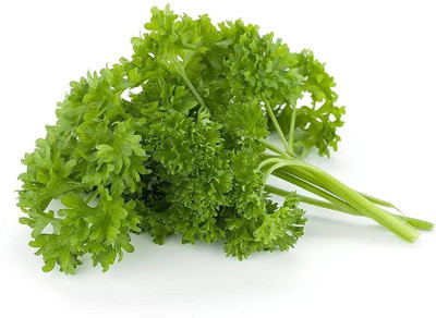 Quentova Parsley Moss Curled - Herb-RJ-5N Seed(100 per packet)