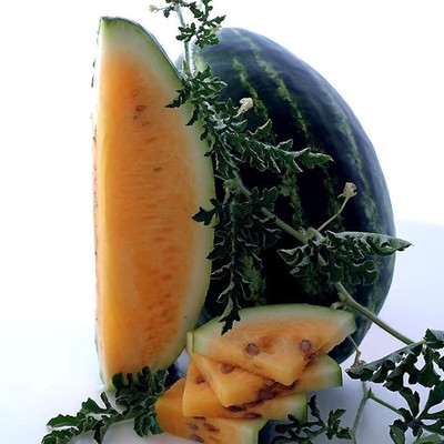 KNESSiN Tendersweet Orange Watermelon Seed Seed(50 per packet)