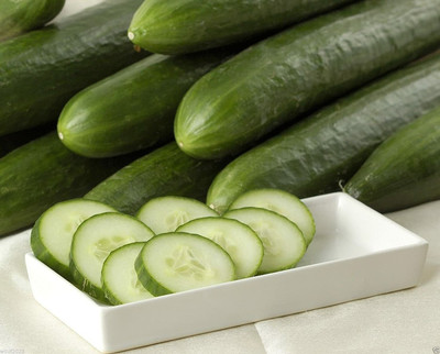 Avysa Ashley Cucumber Seeds, a Cucumber for HOT Summers-CuC_1615 Seed(500 per packet)