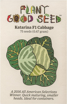 WILLVINE GOI -VII Katarina F1 Cabbage Seeds [2.5g] Seed(750 per packet)