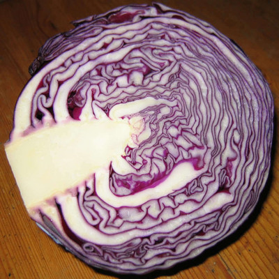 MYLAWN RED ACRE CABBAGE Brassica Seed(800 per packet)