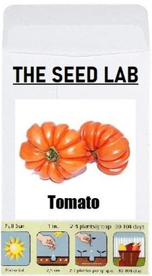 KNESSiN Tomato Seed(1250 per packet)