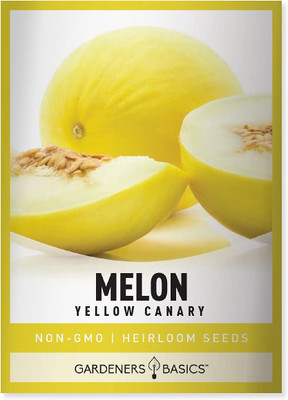 Qualtivate ICRA-1A Yellow Canary Musk Melon Seeds Seed(200 per packet)