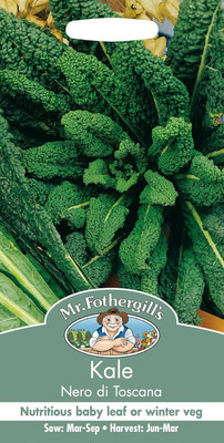 KNESSiN Kale Nero Di Toscana Seed(1250 per packet)